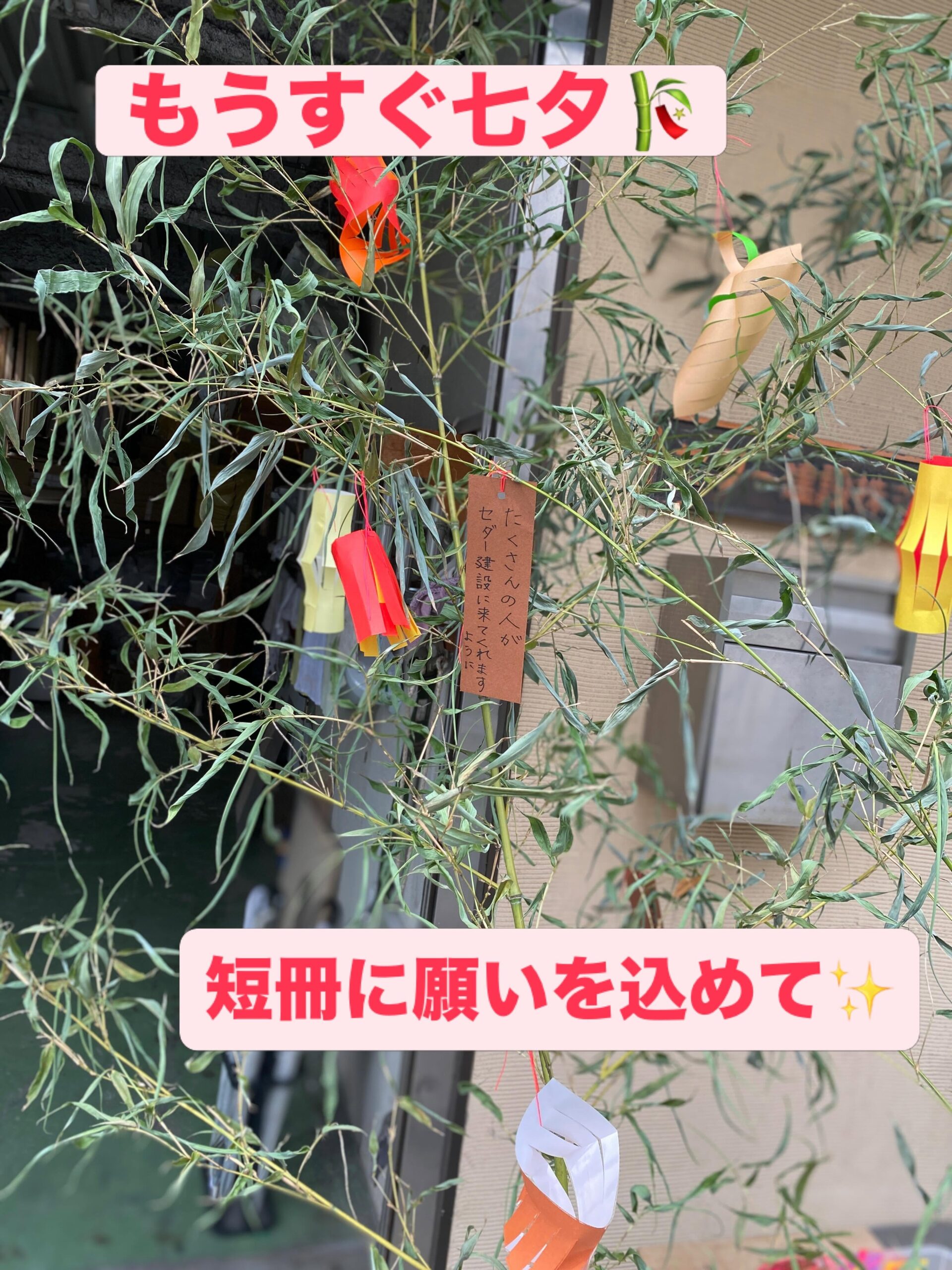 7/7は七夕ですー